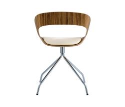 Plycollection Chat chair Zebrano - 1