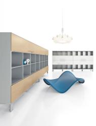 DVO DV521-Bookshelve with sliding sash-doors - 2