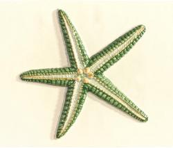 Изображение продукта APE Ceramica Mediterranean Decor Amaral green