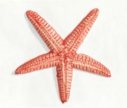 APE Ceramica Mediterranean Decor Amaral red - 1