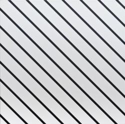 Изображение продукта ORNAMENTA Identity I-O Back and White Stripes | IO6060BWS
