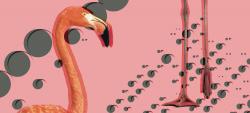 Inkiostro Bianco Flamingos - 2