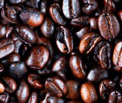 Mr Perswall Daily Details | Arabica - 2