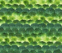 Mr Perswall Daily Details | Cabbage - 1