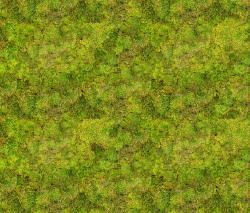 Mr Perswall Daily Details | Green Carpet - 1
