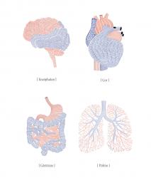 Изображение продукта Mr Perswall Communication | Organs - Anatomy of the soul