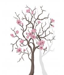 Mr Perswall Urban Nature | Magnolia Tree - 1
