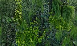 Mr Perswall Captured Reality | Green Wall - 1