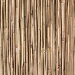 Mr Perswall Captured Reality | Natural Bamboo - 2