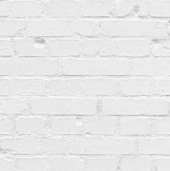 Mr Perswall Captured Reality | White Brick Wall - 2