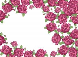 Mr Perswall Creativity & Photo Art | Rose garden - 1