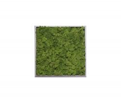 Изображение продукта Verde Profilo Moss painting S Picture