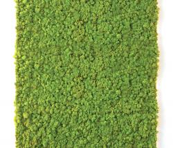Verde Profilo Moss Wall - 1