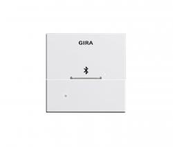Изображение продукта Gira Docking station Top Unit for Apple 30 Pin | System 55