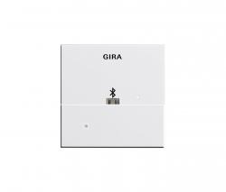 Gira Docking station Top Unit for USB Micro-B | System 55 - 1