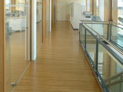 WoodTrade SVL Floor Strips - 1