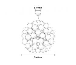 Flos Taraxacum 88 S1 - 2