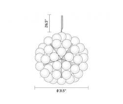 Flos Taraxacum 88 S1 - 2