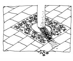 Santa & Cole Pictorial tree grids | Henri Matisse - 2