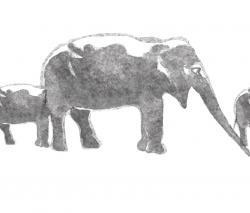 Изображение продукта WALL&DECO Aqua elephas