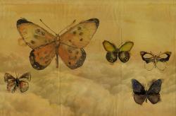 WALL&DECO Butterflies - 1