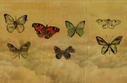Изображение продукта WALL&DECO Butterflies