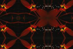 Изображение продукта wallunica Abstract Backgrounds | Red and black abstract design