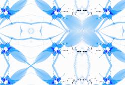 wallunica Abstract Pattern | Blue and white design - 1