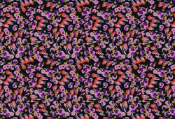 wallunica Dot Design | Pink and purple dot design - 1