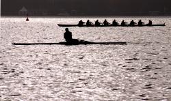 wallunica Hamburg | Rowers on the Alster - 1