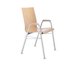 Dauphin Amico extra four-legged стул с подлокотниками 005 - 1