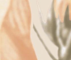 Изображение продукта Fap Ceramiche Rubacuori Listello