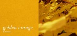 acousticpearls golden orange | 462 - 1