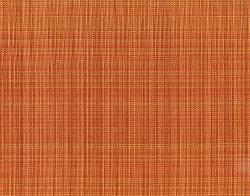 Изображение продукта Anzea Textiles Grass Party 1410 02 Indian Blanket