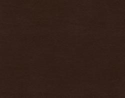 Anzea Textiles Shiny Hide 8107 13 Roasted - 1