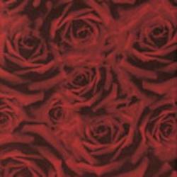 Iris Ceramica Rose rosse 75x25 - 1