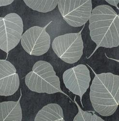 Ginko Sand - 1