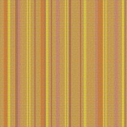 Varied Stripes Orangina - 1