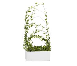 Изображение продукта OFFECCT O2asis – Green Divider