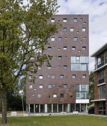 Rieder Blok 1: Dormitory in Arnheim - 2