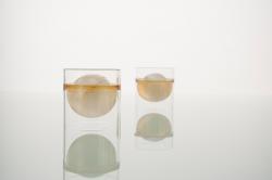 molo float tea cups - 1