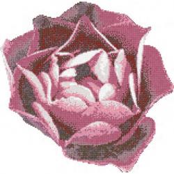 Bisazza Rosa Rosa mosaic - 1