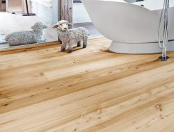 mafi LARCH Country wide-plank. brushed | natural oil - 9