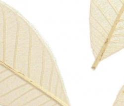 complexma Charisma Glass Leafes - 1