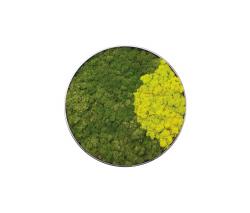 Изображение продукта Verde Profilo Moss painting C Picture
