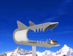 Radius Design piepshow shark - 1