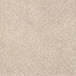 Изображение продукта Maharam Ringlet 004 Granitine