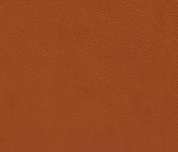 Elmo Leather Elmotique 43807 анилиновая кожа - 1