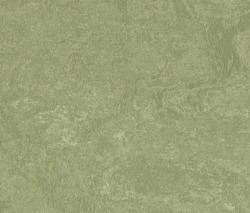 Изображение продукта Forbo Flooring Marmoleum Real willow