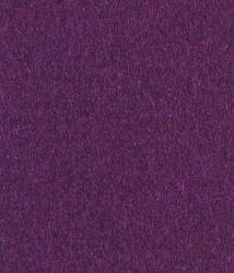 Steiner Arosa purple - 1